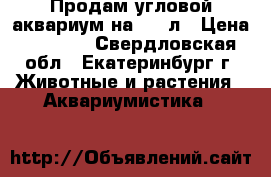 Продам угловой аквариум на 100 л › Цена ­ 6 500 - Свердловская обл., Екатеринбург г. Животные и растения » Аквариумистика   